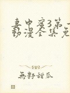 妻中蜜3第一季动漫全集免费观看