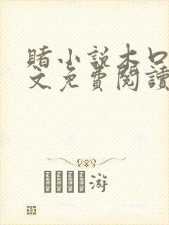 赌小说木口银全文免费阅读笔趣阁封面