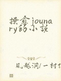 撩愈jounary的小说