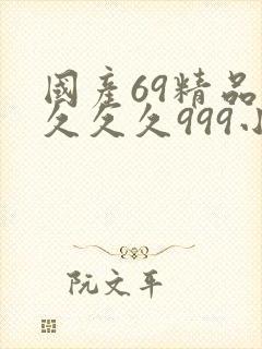 国产69精品久久久久999小说