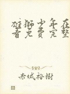 雄狮少年在线观看免费完整国语高清