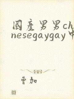 国产男男chinesegaygay中国帅哥网站