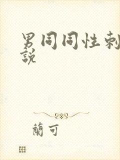 男同同性刺激小说封面