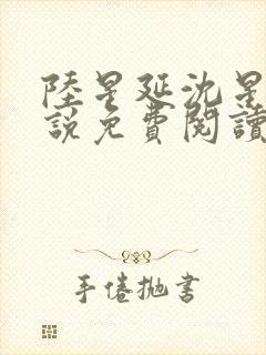 陆星延沈星若小说免费阅读封面