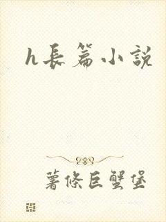 h长篇小说