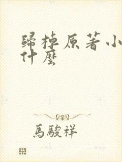 归棹原著小说叫什么