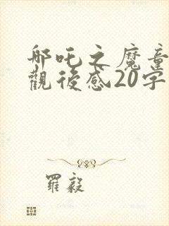 哪吒之魔童降世观后感20字