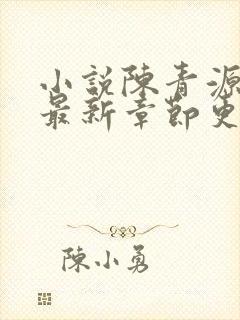 小说陈青源全文最新章节更新