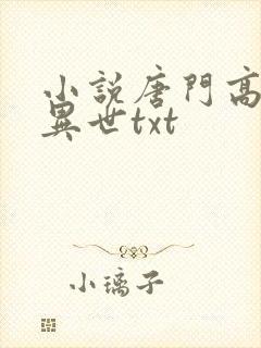 小说唐门高手在异世txt