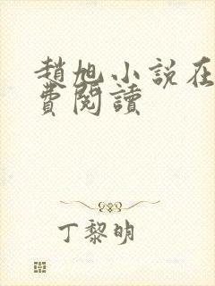 赵旭小说在线免费阅读