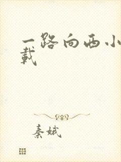 一路向西小说下载