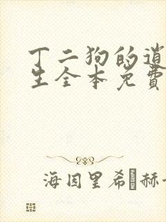 丁二狗的逍遥人生全本免费阅读封面