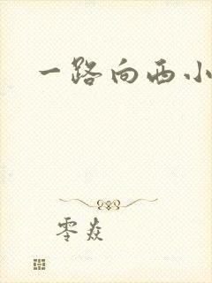一路向西小说