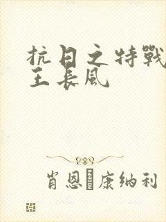 抗日之特战军魂王长风