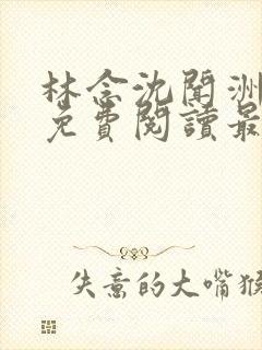 林念沈闻洲全文免费阅读最新章节