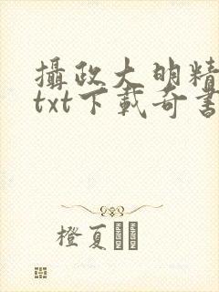 摄政大明精校版txt下载奇书