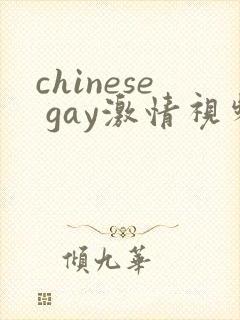 chinese gay激情视频