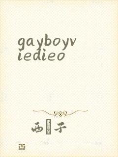 gayboyviedieo