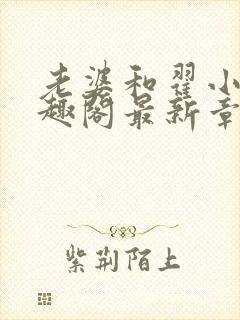 老婆和翟小说笔趣阁最新章节列表封面