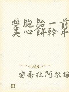 双胞胎一前一后夹心饼干年下封面