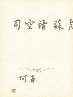 司空靖 苏月汐