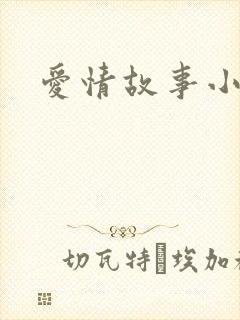 爱情故事小说