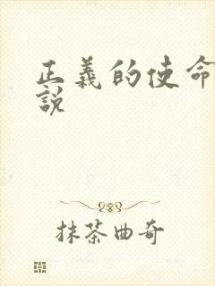 正义的使命 小说