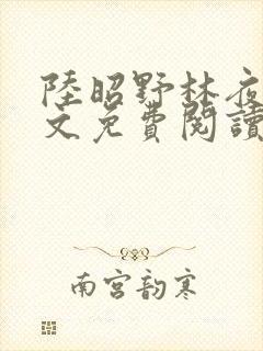 陆昭野林夜棠全文免费阅读最新章节