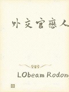 外交官恋人小说