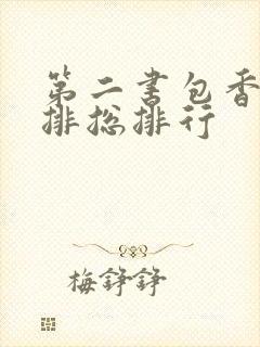 第二书包香辣肉排总排行