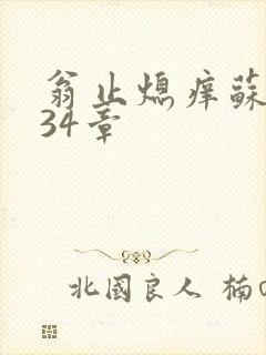 翁止熄痒苏钥第34章封面