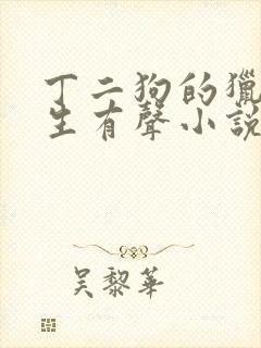 丁二狗的猎艳人生有声小说