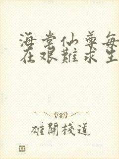 海棠仙尊每天都在艰难求生封面