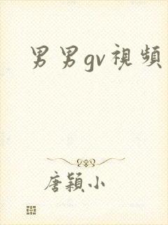 男男gv视频网