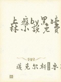 上瘾by黑暗森林小说免费