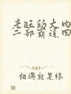 老旺的大肉蟒第二部霸道回归小说封面