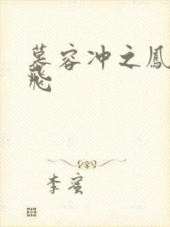 慕容冲之凤凰于飞封面