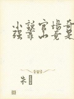 小说官场奇才最强靠山竟是我自己李澜在线