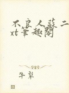 不良人苏二两txt笔趣阁封面