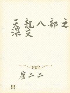 天龙八部之极乐深交封面