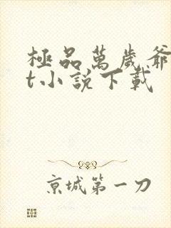 极品万岁爷txt小说下载封面