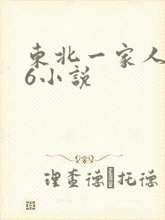 东北一家人1一6小说