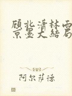 顾北潇林雨菲谢京墨大结局封面