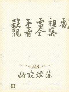 杀手电视剧免费观看全集