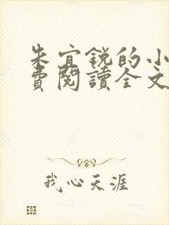 朱宜锐的小说免费阅读全文