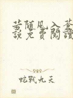 若随风入苍穹小说免费阅读无弹窗