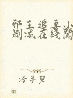 邪王追妻小说无删减在线阅读