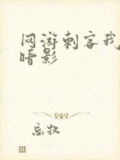 网游刺客我即是暗影封面