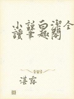 小说白洁全文阅读笔趣阁封面
