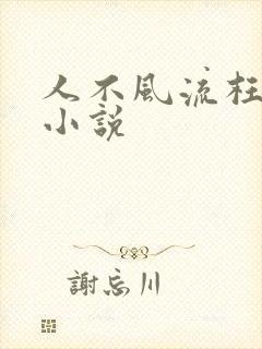 人不风流枉少年小说